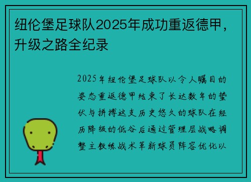 纽伦堡足球队2025年成功重返德甲，升级之路全纪录
